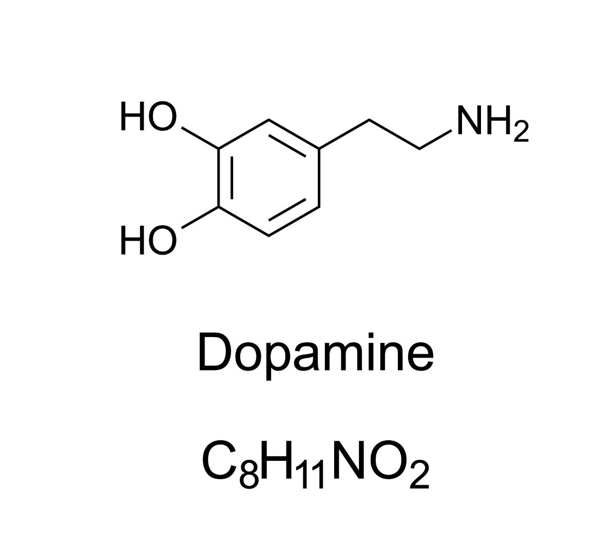 Modafinil and Dopamine Levels