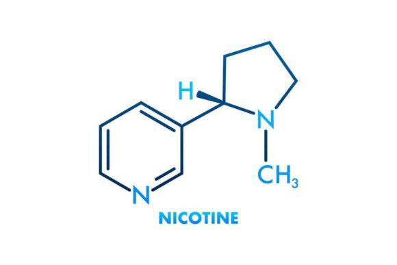 Modafinil and Nicotine